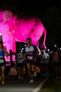 BIB: 
                            <button type="button" onclick="openModal(26530671)" class="btn btn-primary btn-sm float-right btn-popup" data-toggle="modal" data-target=".modal-high-quality">
                        <i class="fas fa-shopping-cart"></i> Add to Cart
                    </button>
                                            <button type="button" onclick="isThisMe(26530671, true)" class="btn btn-success btn-sm float-right btn-popup btn-isme hidden" data-toggle="tooltip" data-placement="bottom" title="นี่คือรูปของคุณใช่ไหม คลิกที่นี่เพื่อเอาเข้าอัลบั้ม">
                        <i class="fas fa-plus"></i> Add to album
                    </button>
                    <button type="button" onclick="isThisMe(26530671, false)" class="btn btn-warning btn-sm float-right btn-popup btn-isnotme hidden">
                        <i class="fas fa-ban"></i> Remove from album
                    </button>